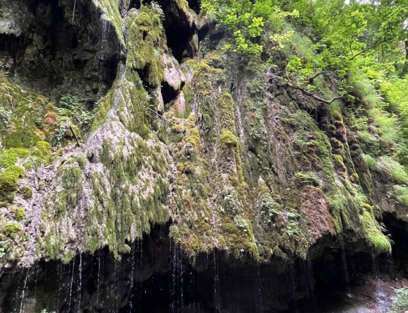 SCALA - The Valley of the Ironworks, among waterfalls and giant ferns